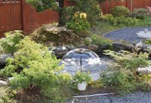 why-your-pond-water-is-green-–-causes-&-fixes-every-pond-owner-should-know