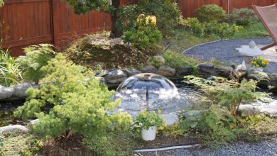 why-your-pond-water-is-green-–-causes-&-fixes-every-pond-owner-should-know