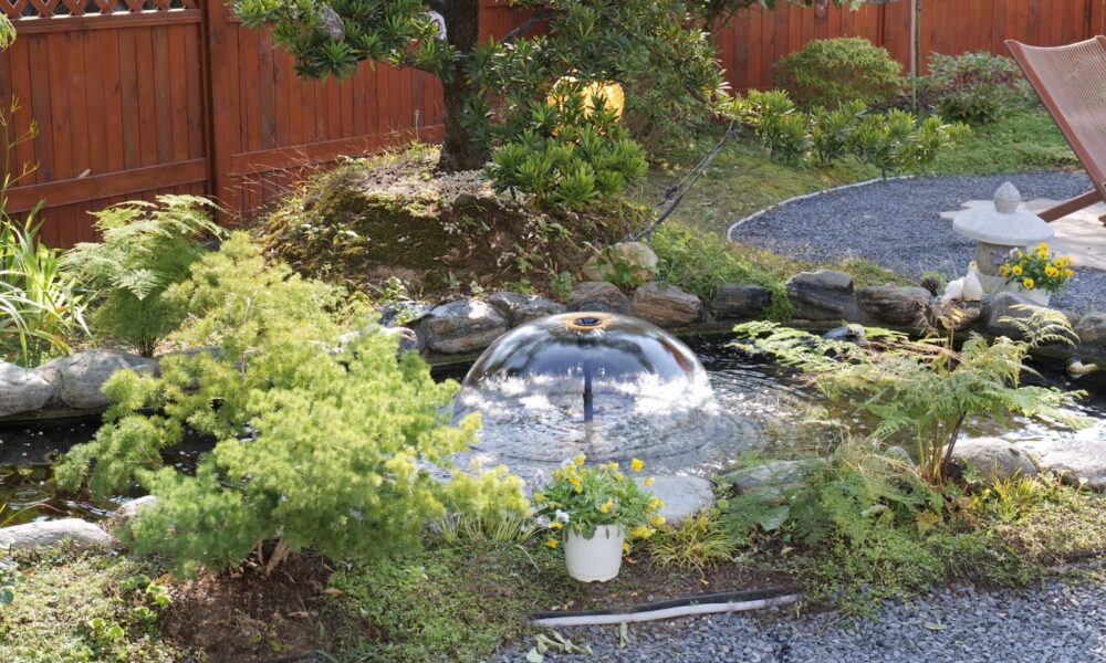 why-your-pond-water-is-green-–-causes-&-fixes-every-pond-owner-should-know
